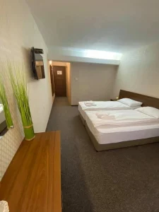 Hotel Loznitsa gallery – guest room interior
