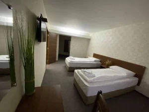 Hotel Loznitsa gallery – guest room interior