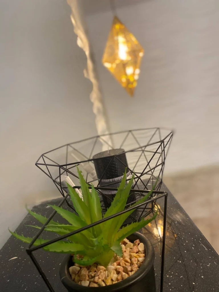 Hotel Loznitsa gallery – interior detail