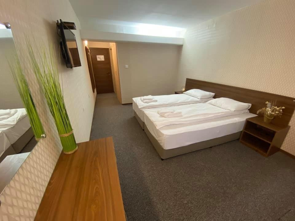 Double room at Hotel Loznitsa
